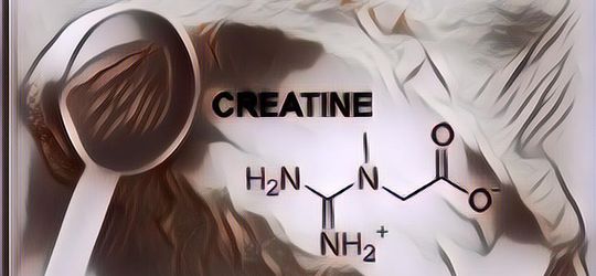 5 Manfaat Suplemen Creatine Bagi Tubuh, Bagus Banget untuk yang Suka Nge-Gym