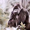 Menarik Banget, Ternyata Ini 4 Fakta Tentang Gorila yang Belum Banyak Orang Tahu