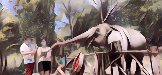 Rekomendasi Kebun Binatang di Yogyakarta yang Bisa Jadi Tempat Liburan Akhir Pekan