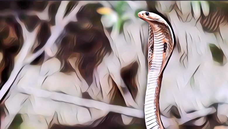 5 Binatang Dijuluki Binatang Pelupa Karena Punya Memori Pendek, Hanya Beberapa Detik