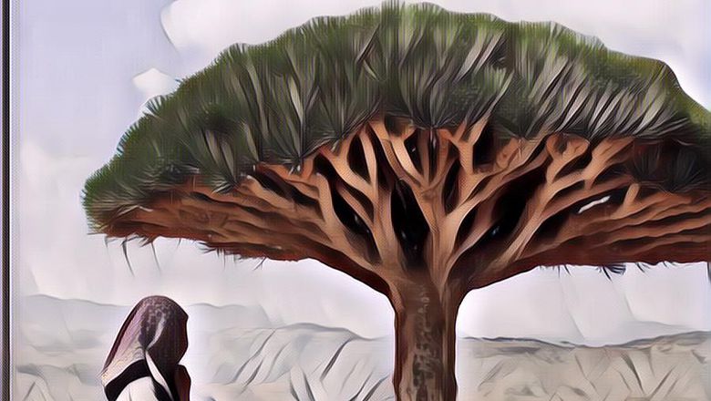 Pulau Unik Ini Punya Pohon yang Bisa Mengeluarkan 'Darah Naga', Rasanya Kayak Lagi di Dunia Lain