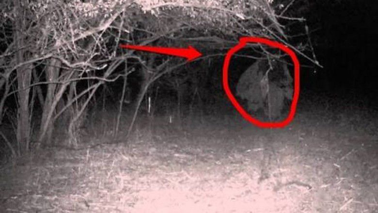 4. Orang Bunian, Sumatera Barat