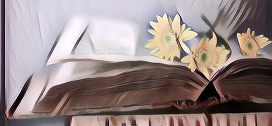 Buku Novel Klasik yang Wajib Kamu Baca Sebelum Mati, yang Juga Bisa Kamu Wariskan ke Anak Cucu Nanti!