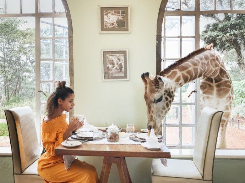 1. Giraffe Manor, Kenya