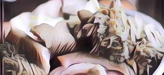 Manfaat Makan Jeroan untuk Kesehatan, Bisa Cegah Kanker!