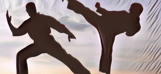 Viral Video Pesilat Yang Mendadak Meninggal Saat Lagi Beraksi