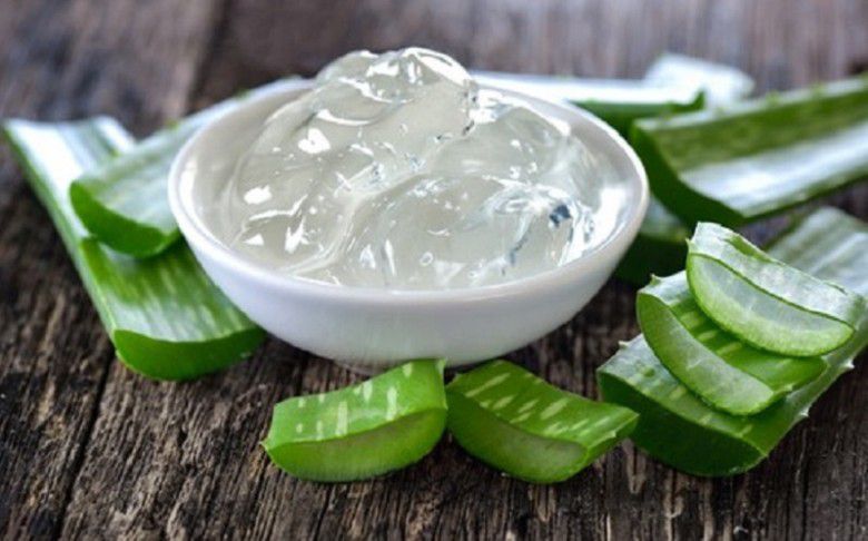 2. Lidah Buaya
