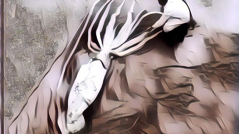 5 Hewan-Hewan Terbesar di Dunia yang Masih Hidup Saat Ini