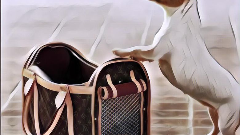 Louis Vuitton Rilis Tas Khusus untuk Pup Anjing, Segini Harganya