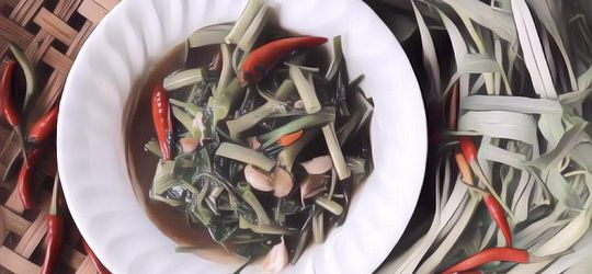 Rahasia Mengolah Kangkung Agar Masakan Sayur Ini Lezat Maksimal