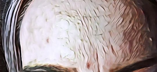 Cara Menghilangkan Bruntusan Di Dahi Pake Herbal , Murah Meriah Aman