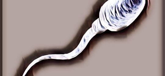 Jutaan Orang Tak Menyadari Kalau Orang Inilah Penemu Sperma yang Pertamakali