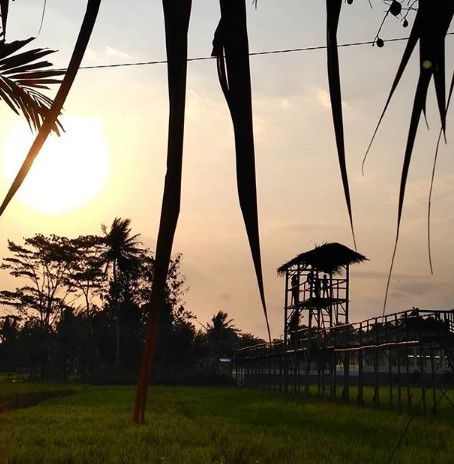 5.Foto Sunset yang baik