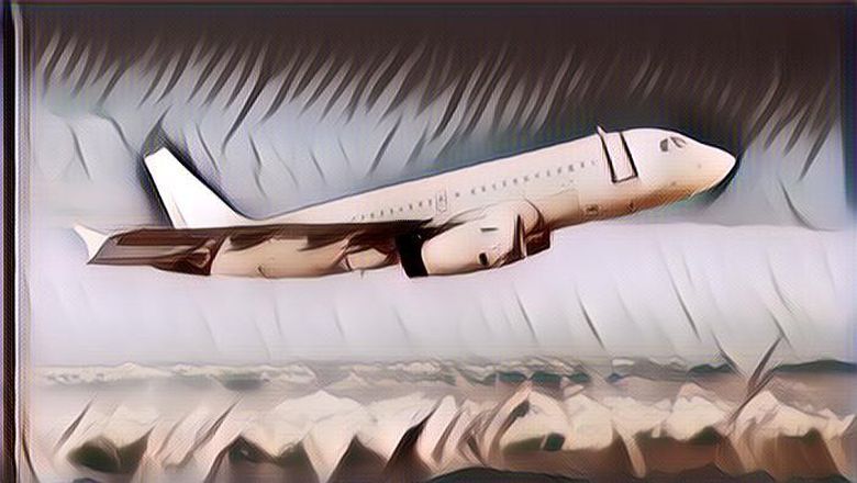 Duh, Pesawat Arab Saudi Ini Tiba-Tiba Bolong Karena Ditabrak Burung