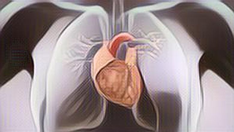 Waspada 7 Gejala Penyakit Gagal Jantung Berikut Ini! Jangan Sampai Terlambat