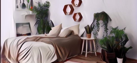 5 Tanaman Estetik dalam Ruangan yang Bikin Makin Betah di Rumah