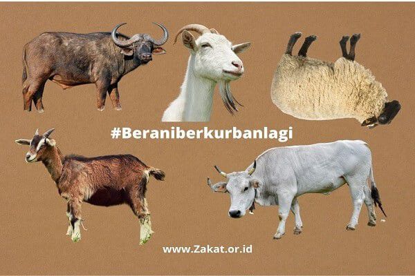 # Patungan Dilakukan Maksimal 7 Orang