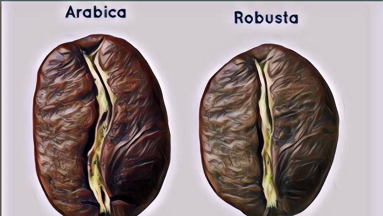 Perbedaan Kopi Robusta dan Arabika, Mana yang Lebih Kamu Suka?