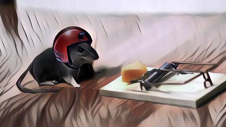 Makanan yang Disukai Tikus, Cocok Banget Dijadiin Umpan untuk Jebakan