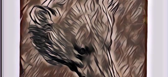 Menyusul Horse and Rider yang Memiliki Harga Fantastis, Gambar Kepala Beruang Karya Leonardo Da Vinci Dihargai Rp236 Miliar