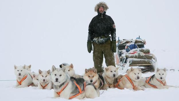 5. Patroli Anjing Sirius di Greenland