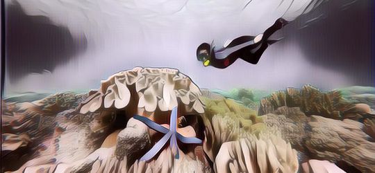 Terkuak! Misteri Suku Bajo yang Terkenal dengan Para Penyelam Terbaik di Dunia