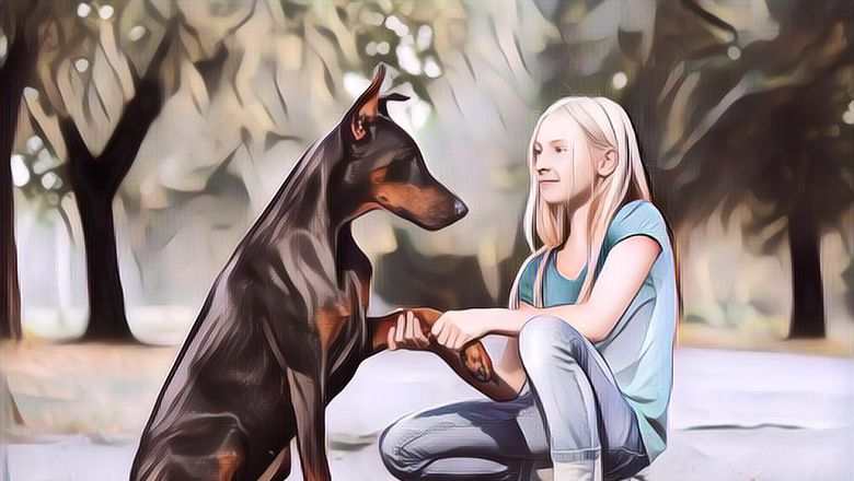 Ngalah-Ngalahin Pacar Sendiri, 5 Binatang Ini Bisa Memahami Bahasa Manusia dengan Baik Lho!