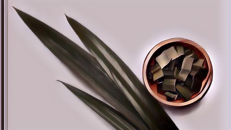 Manfaat Daun Pandan untuk Kesehatan yang Jarang Disadari Banyak Orang