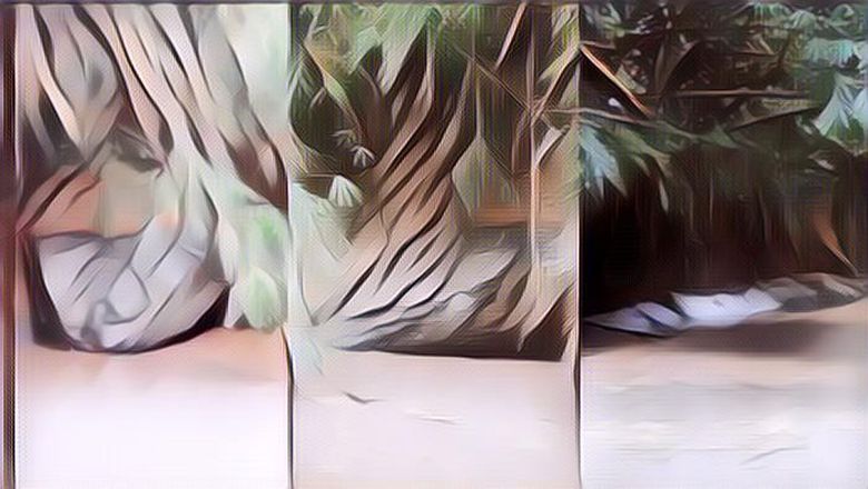 Heboh di Thailand Ada Batu Besar yang Bentuknya Mirip Ular Raksasa!