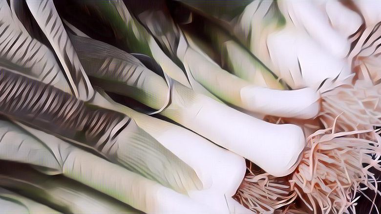 Meski Banyak yang Tak Suka Karena Baunya Menyengat, Ini 5 Manfaat Mengonsumsi Daun Bawang Bagi Kesehatan