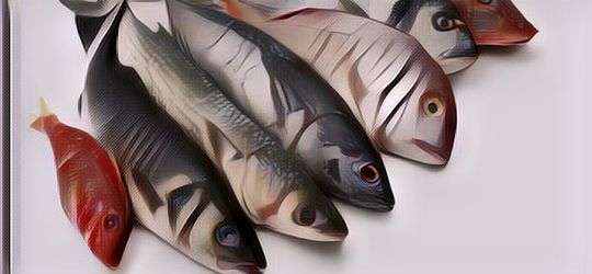 Ini Dia Deretan Ikan dan Hewan Laut dengan Kandungan Gizi Paling Tinggi