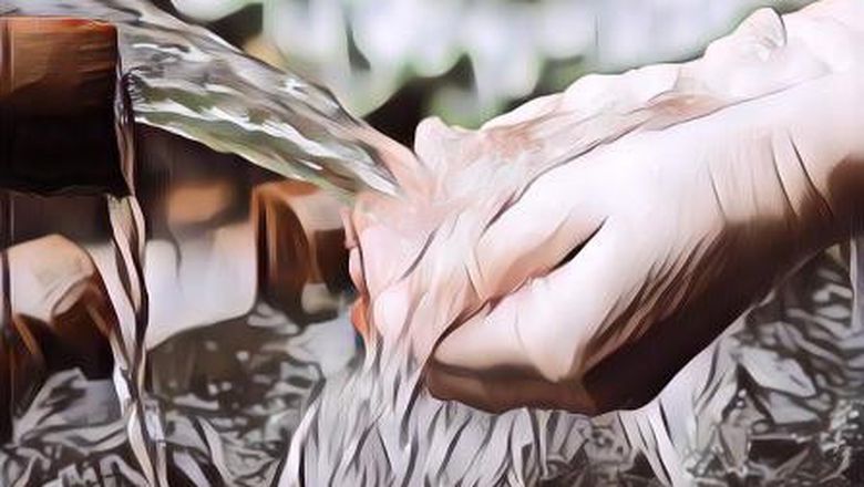 Kenapa Manusia Gak Bisa Mencium Bau Air Padahal Hewan-Hewan Bisa?