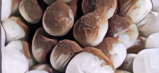 Resep Bikin Cilok, Cimol, dan Cilor yang Mudah Dibuat dan Pasti Enak