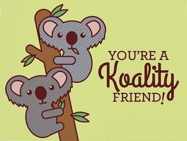 6. You're a KOALITY friend!