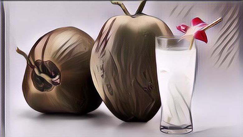 Manfaat Air Kelapa Hijau Bikin Tujuh Harimu Semakin Segar, Rajin Minum yuk!