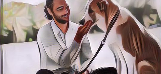 Sebuah Penelitian Mengungkapkan Kalau Hewan Peliharaan Bisa Terserang Covid-19, Begini Penjelasannya