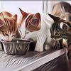 Makanan Ini Aman Buat Kalian, tapi Bahaya untuk Kucing (Bagian 2)