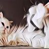 8 Penyebab Bulu Kucing Rontok Parah, Apa Saja?