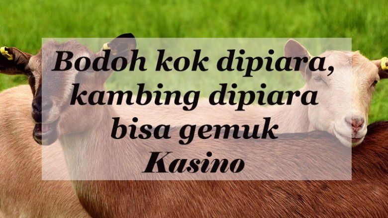 Bisa buat nyindir dia, nih.