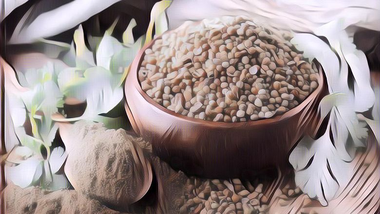 Manfaat Ketumbar untuk Kesehatan dan Mereka yang Nggak Boleh Mengonsumsinya, Catat Kuy