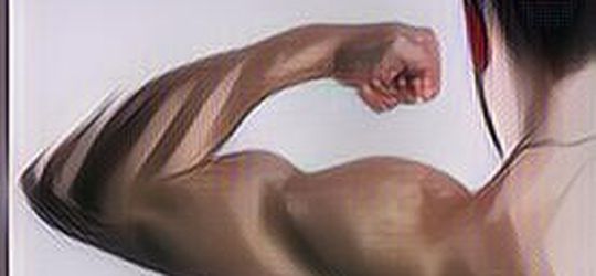 PENTING! Berikut 7 Manfaat Memiliki Otot yang Kuat untuk Kesehatan Secara Keseluruhan