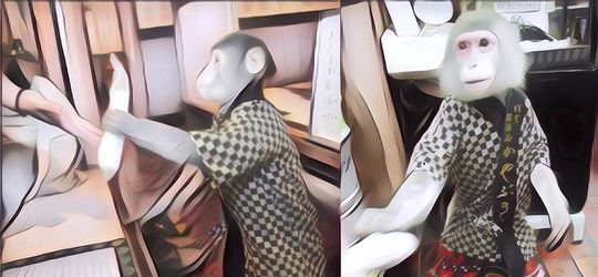 Unik Banget! Restoran Ini Sudah 29 Tahun Pekerjakan Monyet Jadi Pelayan, Gini Tugas Dan Bayarannya