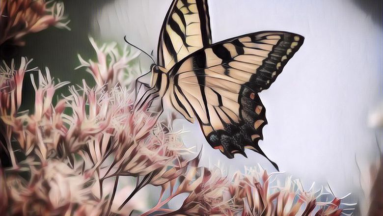 Kepunahan Makhluk Bumi akan Dimulai dari Kepunahan Serangga