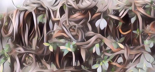 Terlalu Mengerikan, Ini 5 Tempat Terlarang untuk Dikunjungi di Dunia