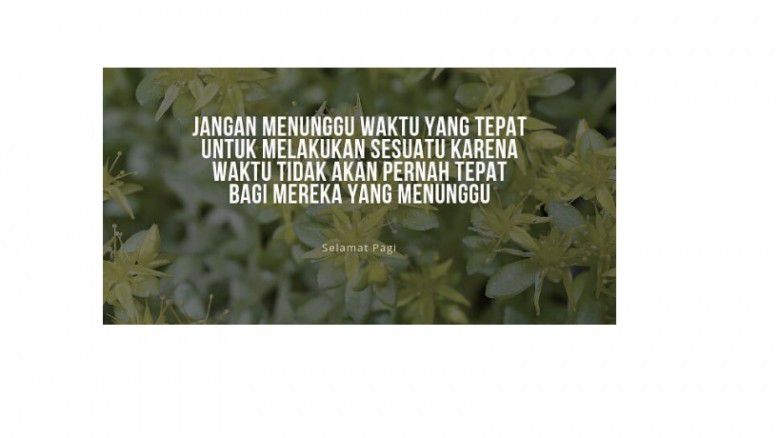 Jangan terlalu banyak menunggu, ya!