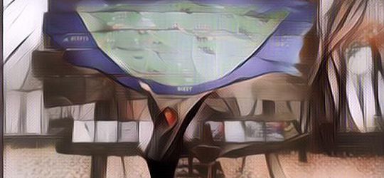 Paragram Diary: Perjalanan ke Pulau Nami, Menikmati Keindahan Alam Bersalju di Korea Selatan