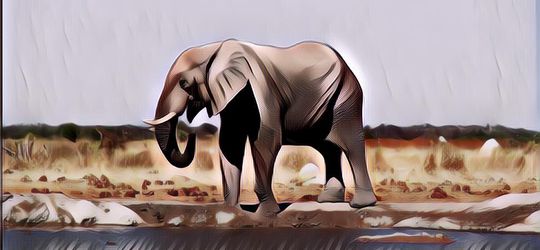 Tragis! Gajah Injak Nenek 70 Tahun Sampai Tewas Saat Ambil Air, Sempat Ngamuk Di Pemakaman Dan Jenazah Dilempar