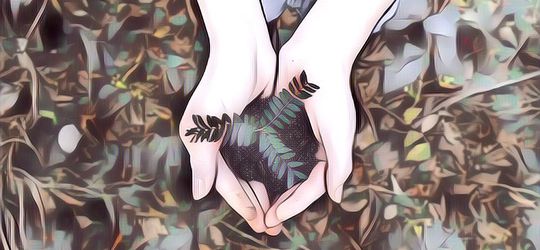 Proses Respirasi Pada Tumbuhan, Cara Tanaman Bernapas yang Perlu Kamu Ketahui