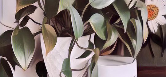 Janji Google untuk Memaksimalkan Material Daur Ulang Buat Produk Mereka