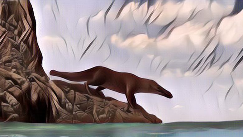 Mengenal Paus Amfibi yang Bisa Hidup di Laut dan Di Darat